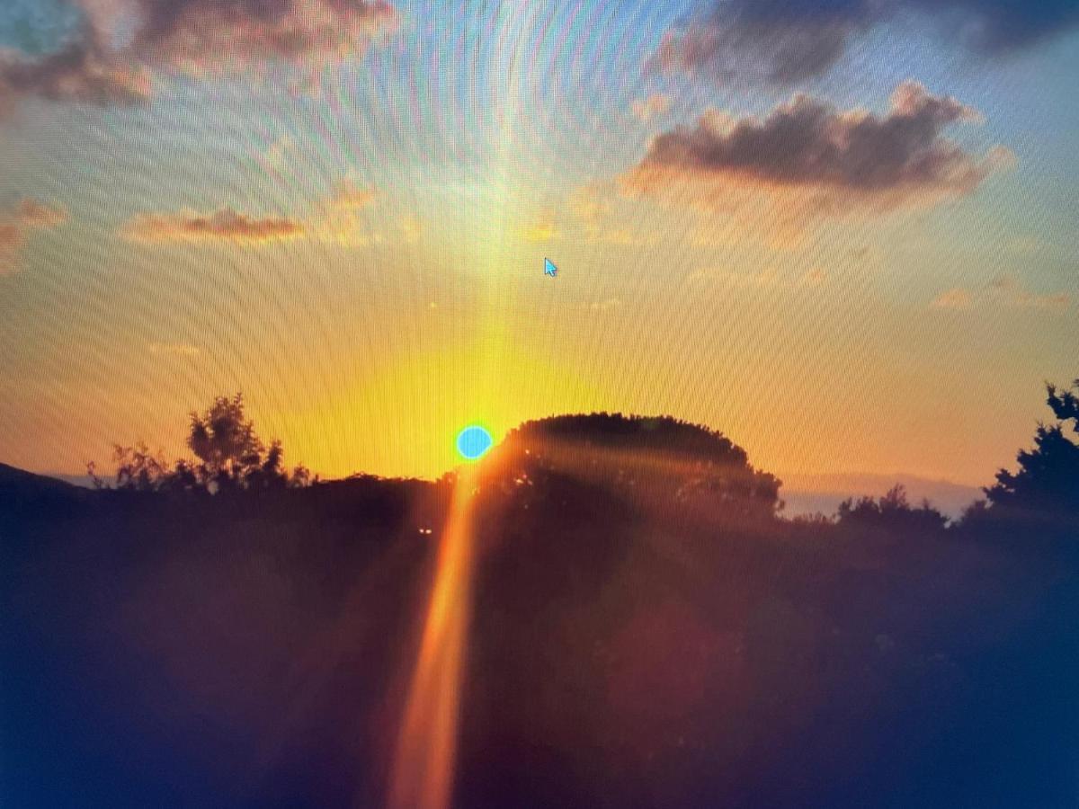 Siisa Appartamento La Muddizza Valledoria A 500 Mt Dal Mare Bagian luar foto